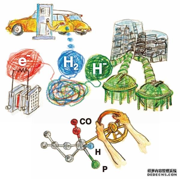 杏2注册分子扭曲使一种催化剂可用于三种氢的应用