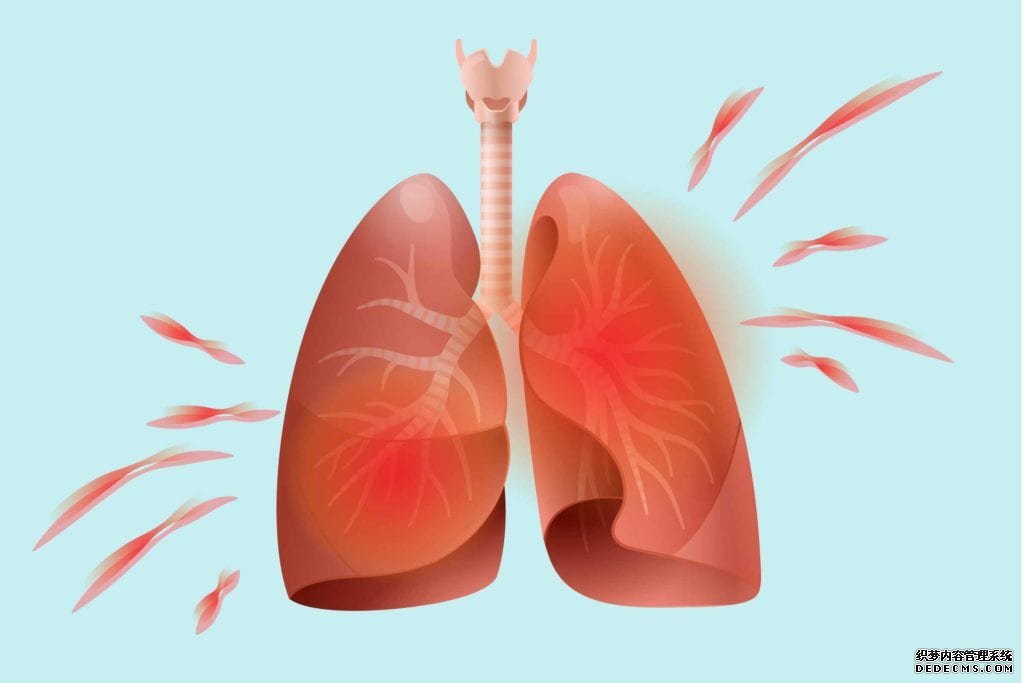 严重受损的人类肺部杏耀代理现在可以成功恢复