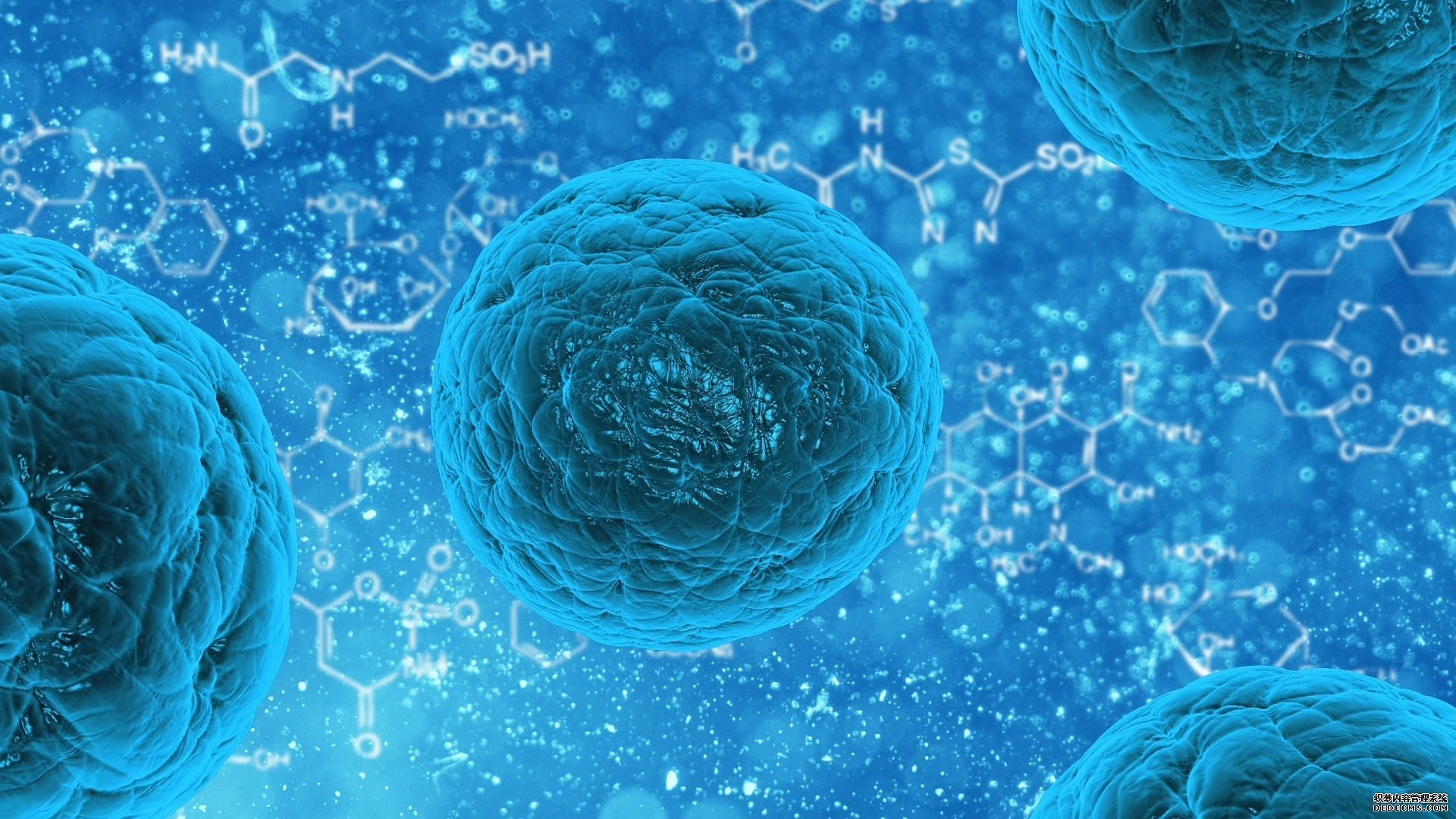 基于生物的通讯网络杏耀连接可以控制体内的细胞来治疗疾病