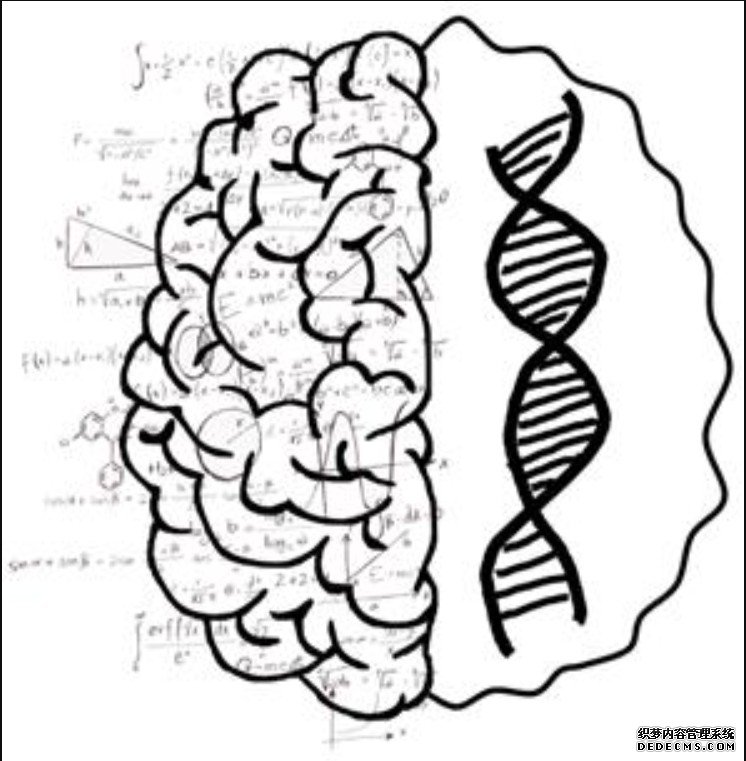 基因变异如杏耀何导致数学能力的差异