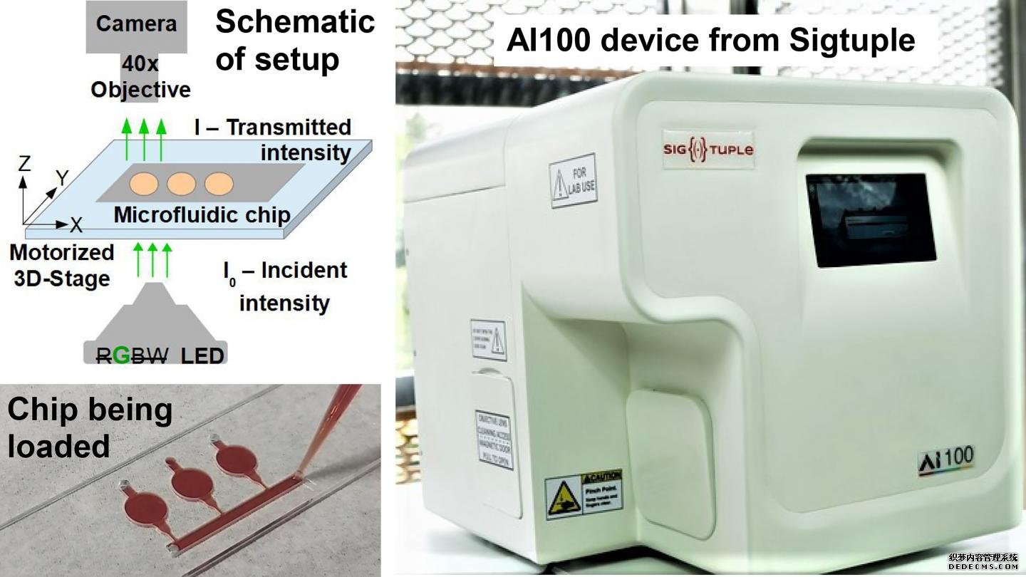 用人工智能显微镜杏耀游戏帐号、微流控芯片检测血红蛋白水平