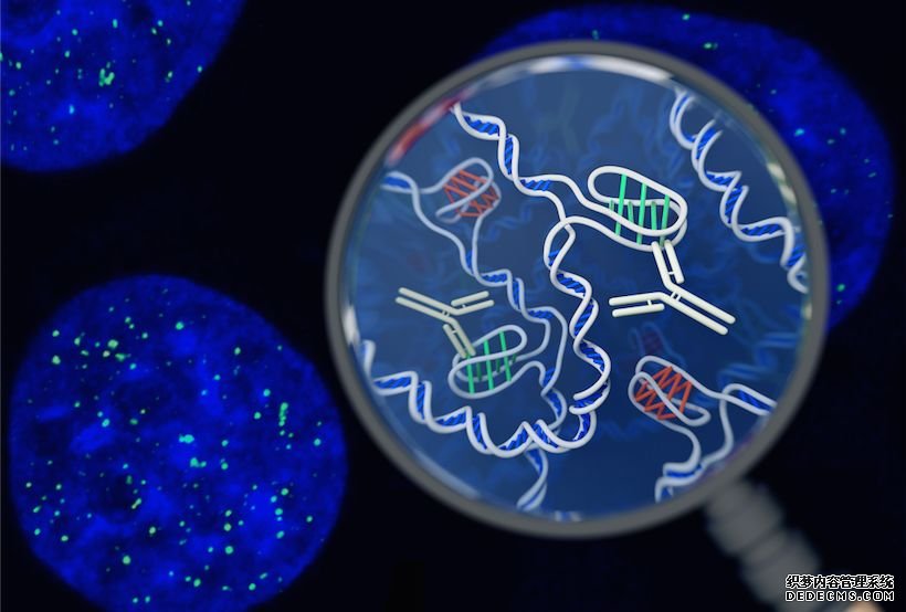 杏耀注册科学家尝试一次绘制一个细胞