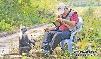 杏耀代理教授潘文石：把全家人都带进“野生状态”