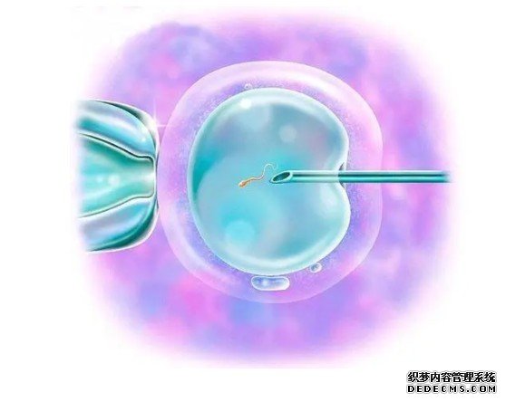 科学家绘杏耀代理制果蝇全脑神经图谱