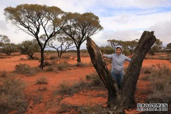 杏耀手机客户端人类6.5万年前抵达澳大利亚