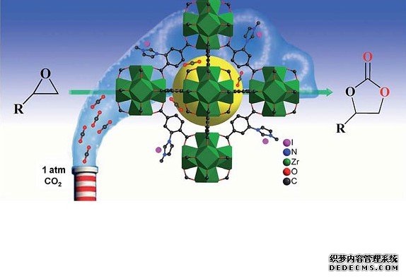 科学家用电杏耀代理和二氧化碳合成蛋白质