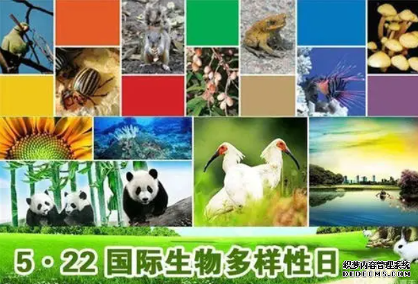 专访：杏耀平台生物多样性支撑人类赖以生存的自然系统——访澳国家昆虫收藏馆主管戴维·耶茨