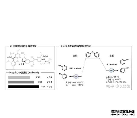 杏耀代理破解控制木质素合成开关的新机制