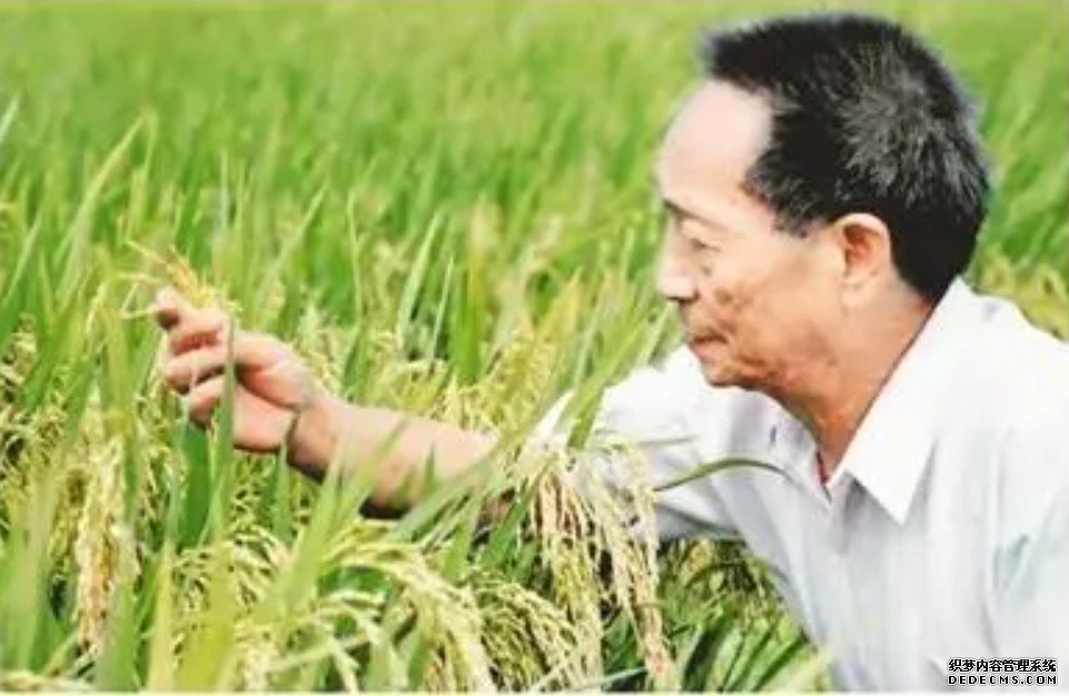 袁隆平一辈子躬耕田野的成就，镌刻在辽阔大地杏耀平台