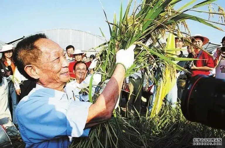 杏耀袁隆平学生忆院士：袁老要求我们，把论文“写”在大地上