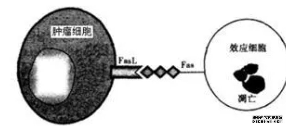 活有机体中发现自然生物合成过程杏耀平台