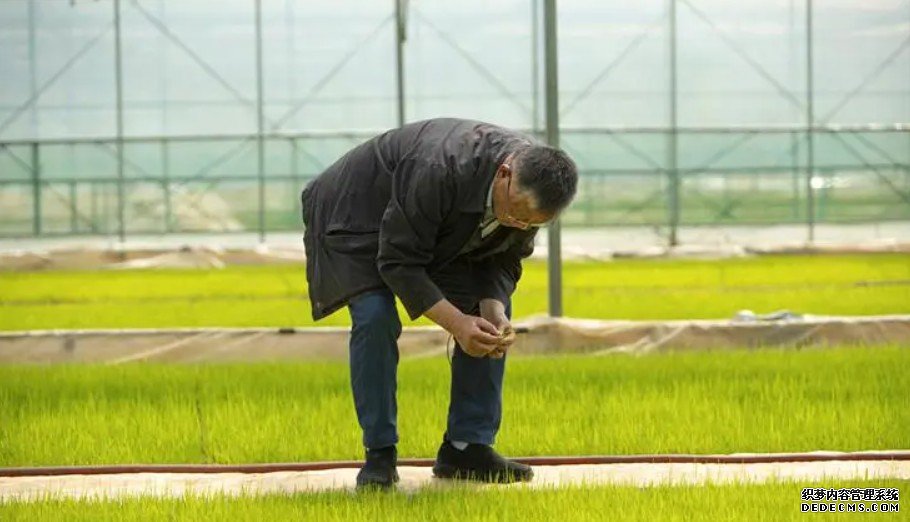 刘政安研究员杏耀平台：把成果写在大地上