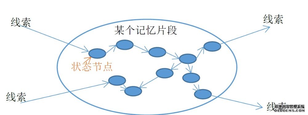 新研究揭示记忆“拼图”存储位置杏耀注册