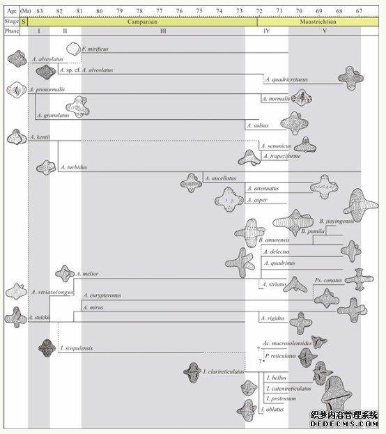 晚白垩世三突起类花杏耀平台粉研究取得系统性进展