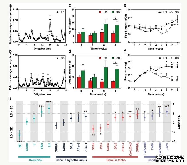 中科院动物研究所张知彬研究团队杏耀代理发现肠道微生物可能参与光周期调控鼠类的季节性繁殖