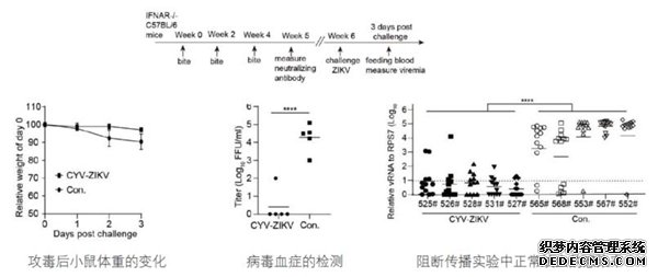 杏耀注册动物研究所郑爱华研究组开发蚊子携带疫苗用于野生动物免疫