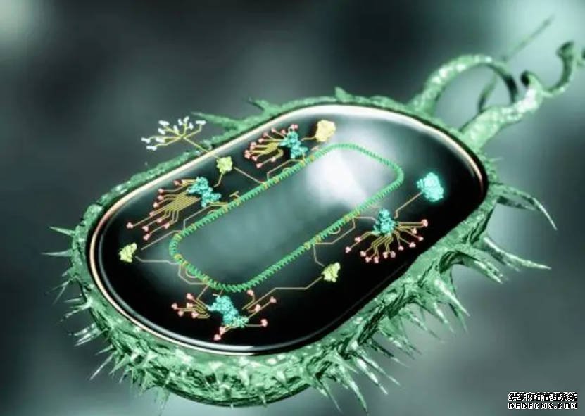 沐鸣平台官网合成生物学：属于未来的“天工开物”